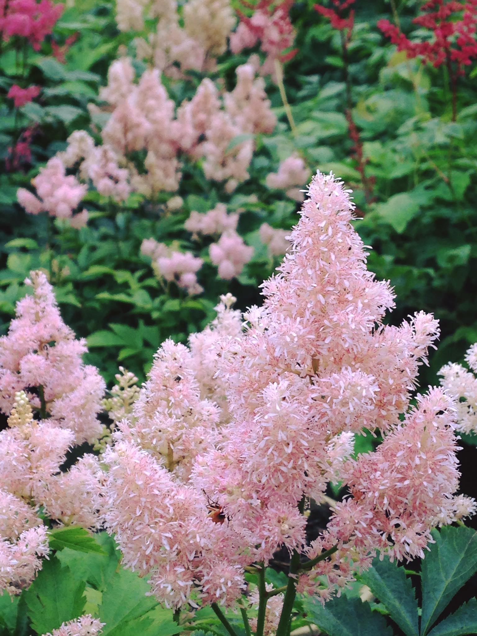 Small's Garden Center image