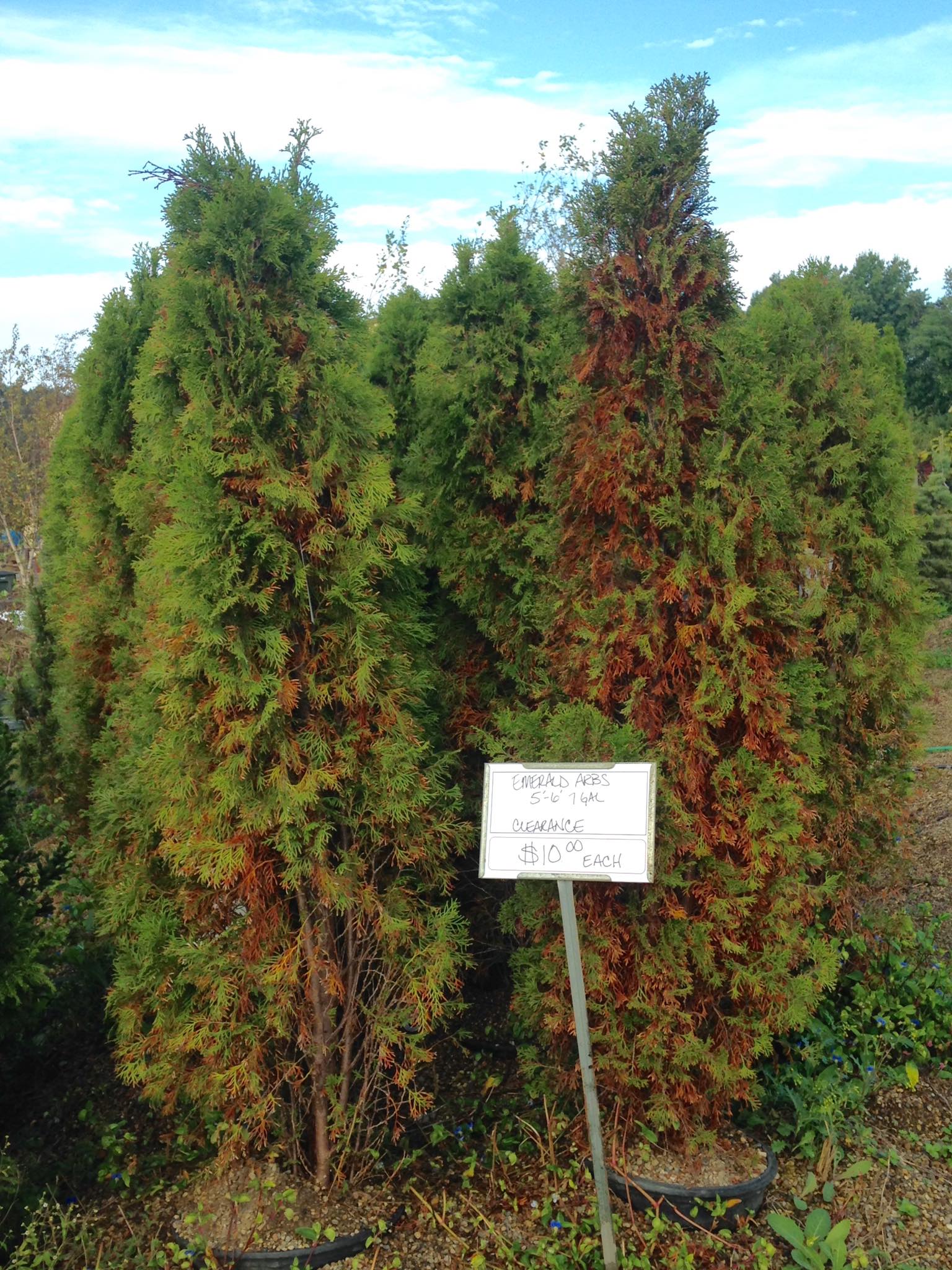 Small's Garden Center image