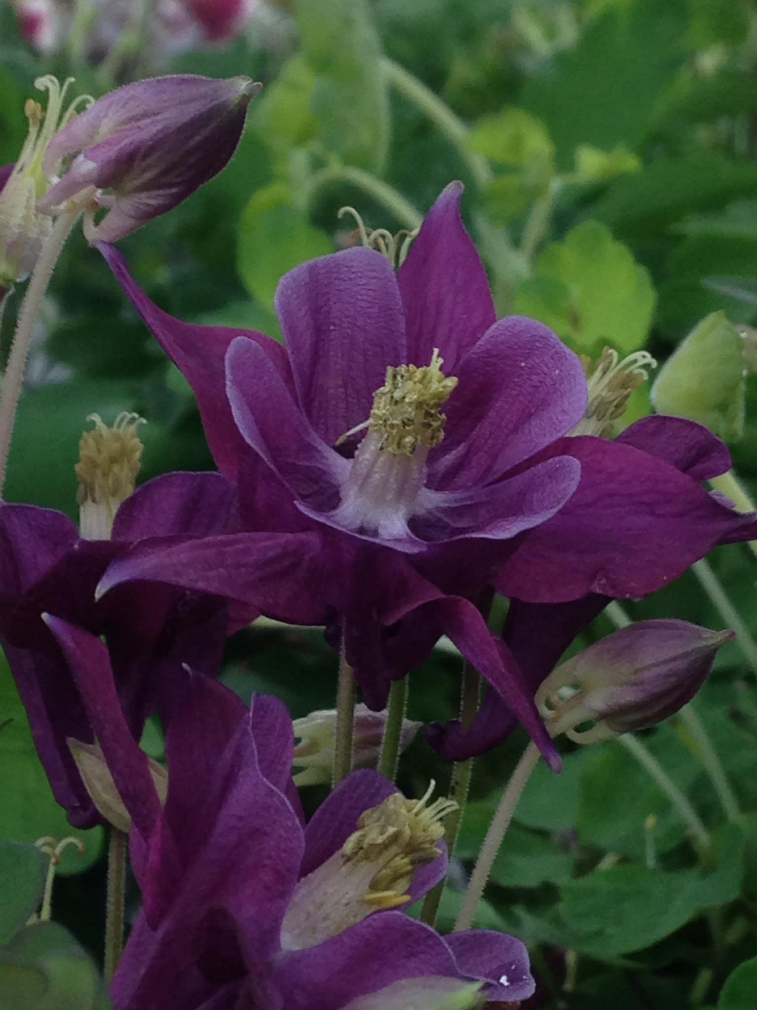 Small's Garden Center image