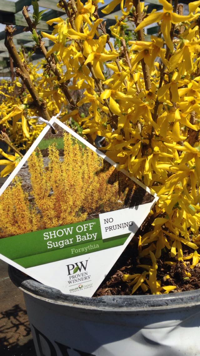 Small's Garden Center image