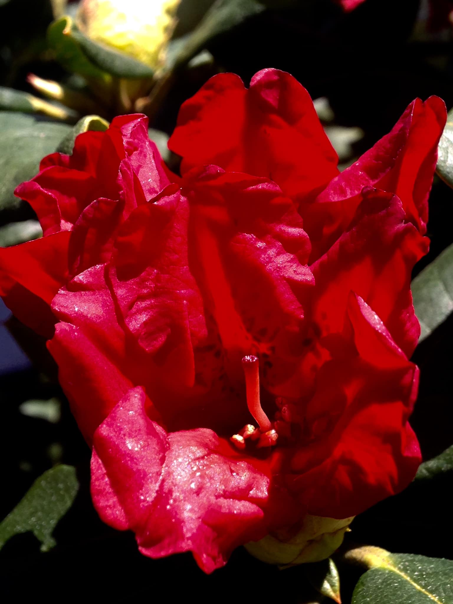 Small's Garden Center image