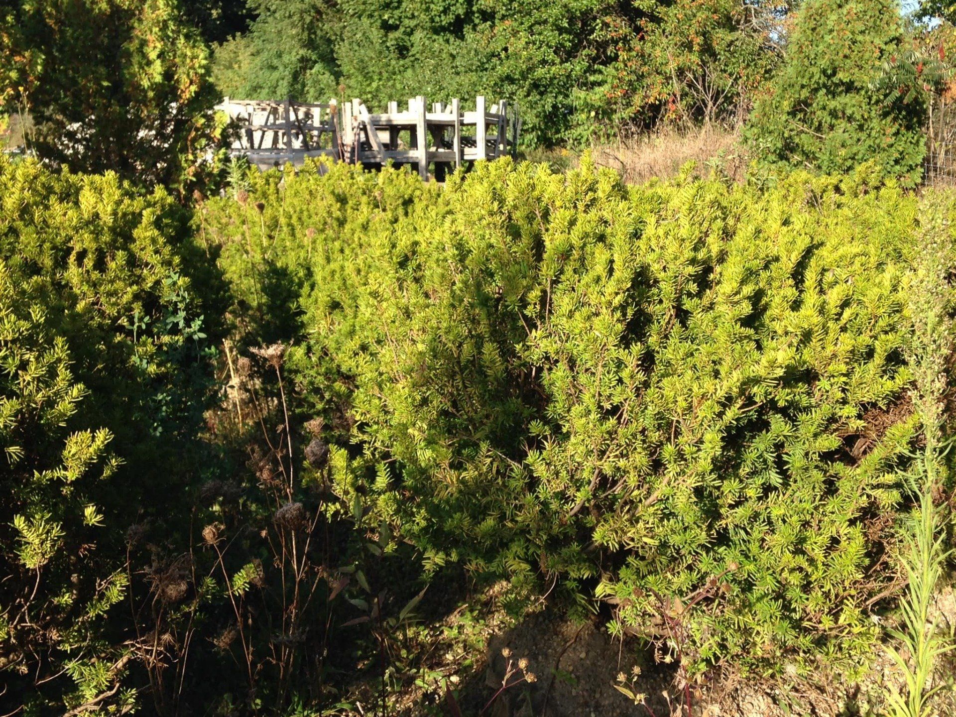 Small's Garden Center image