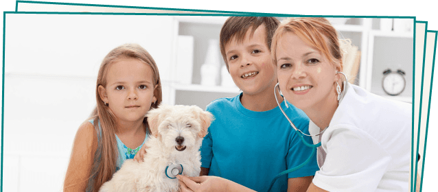 Pet Surgery | Manahawkin, NJ | Manahawkin Veterinary Hospital | 609-597-0080