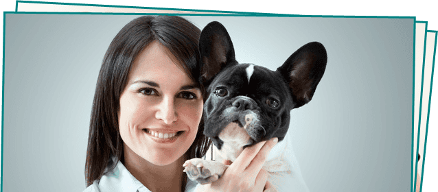 Pet Dental Care | Manahawkin, NJ | Manahawkin Veterinary Hospital | 609-597-0080