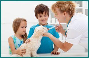 Veterinary Care | Manahawkin, NJ | Manahawkin Veterinary Hospital | 609-597-0080
