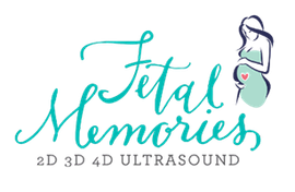 Fetal Memories 2D 3D 4D Ultrasound - logo