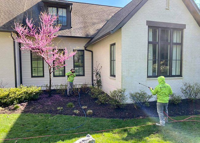 Siding pressure washing