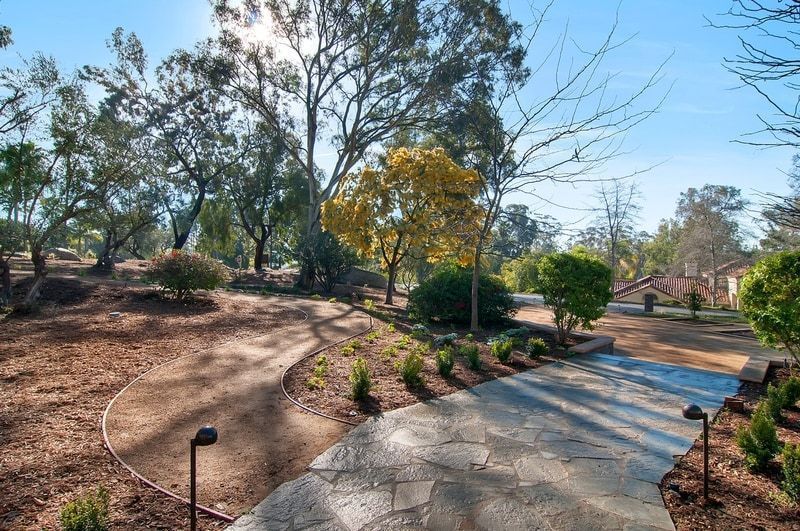 Stone pathway leading through a yard with trees, bushes, and a sunny sky. Brown dirt and green plants line the path.