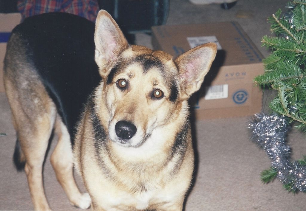 Sheena Marie Campbell