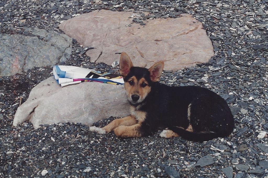 Sheena Marie Campbell