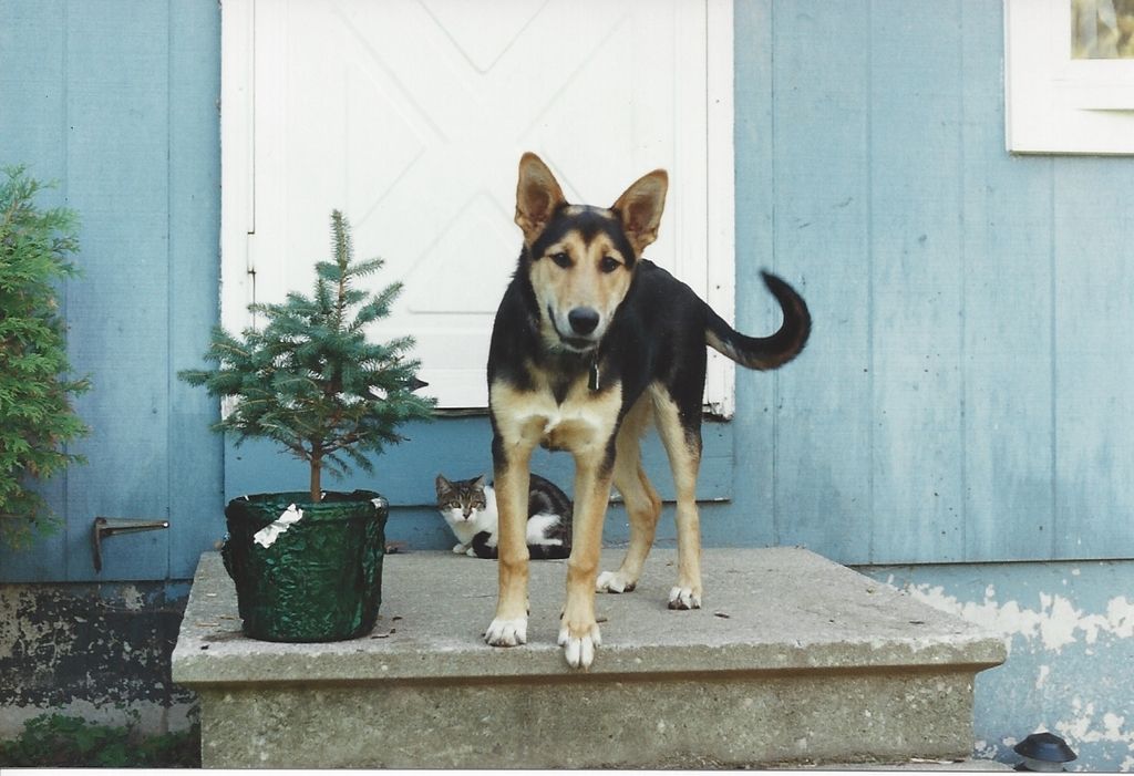 Sheena Marie Campbell