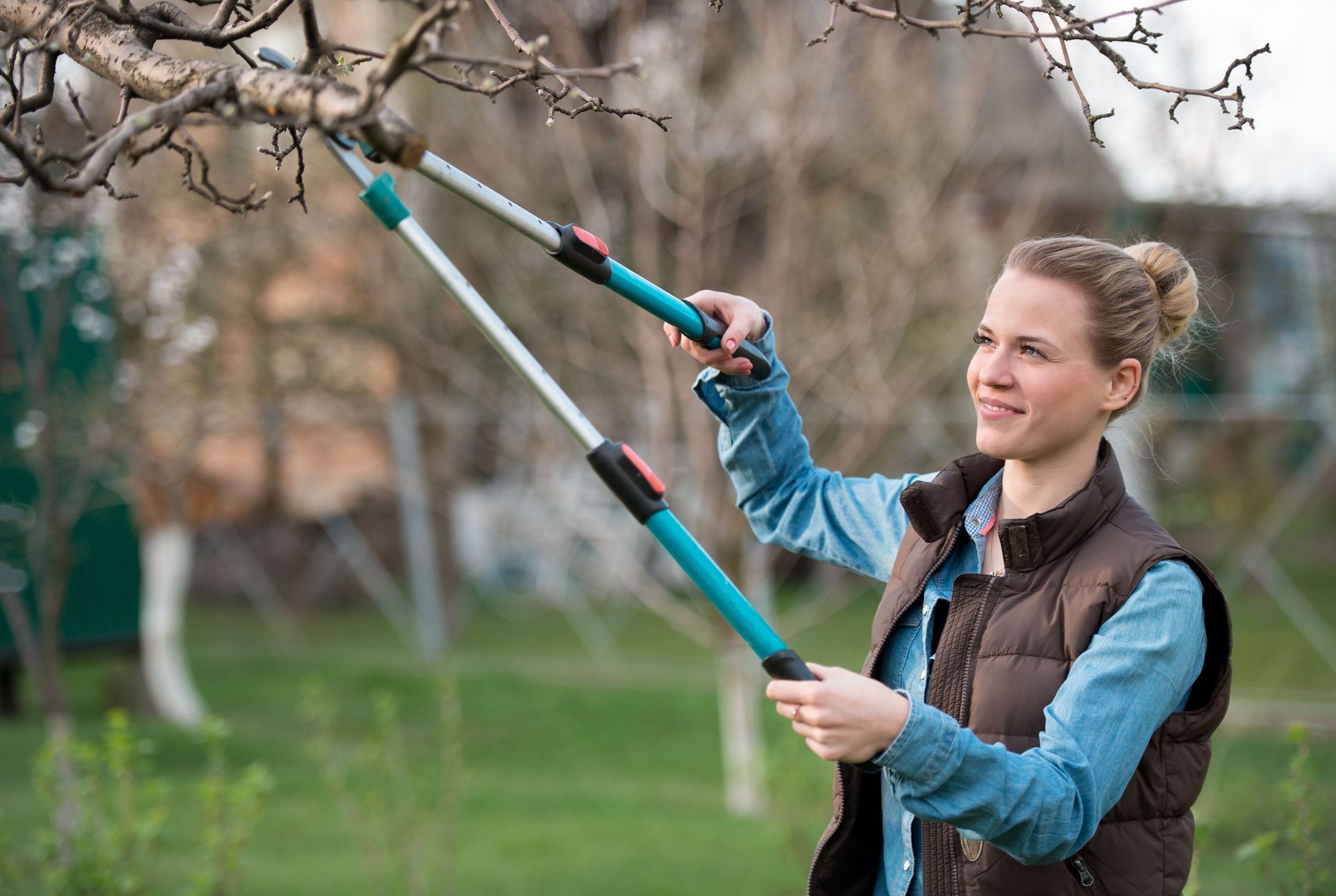 tree trimming