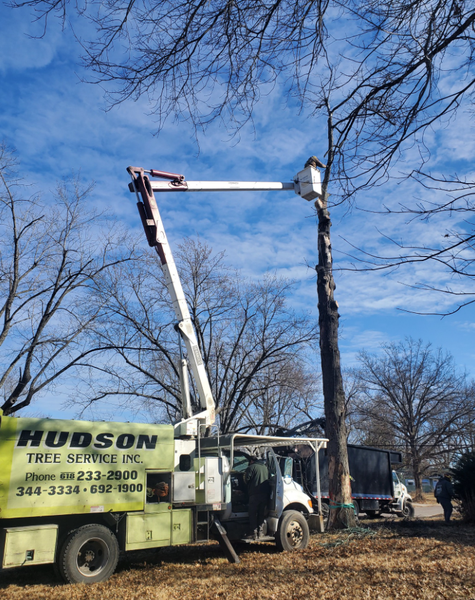 A tree service truck with an elevated bucket trimming a tall tree against a blue sky.