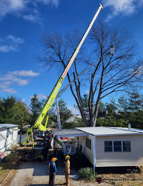Two workers near a mobile home, trimming a tall tree with a long-reach lift against a blue sky.