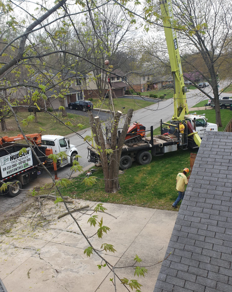Tree removal in progress: a truck with a crane, workers in safety gear, a tree being cut down on a lawn, residential setting.