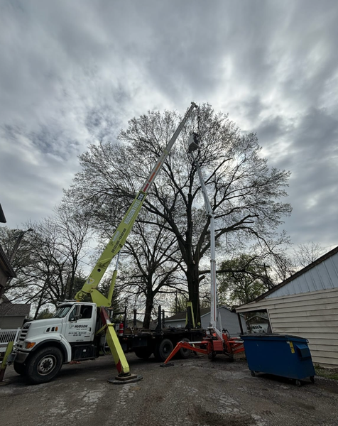 Truck with lift trimming a large tree; cloudy sky.