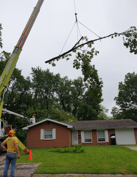 A crane lifting a tree branch over a one-story brick house, a worker in safety gear directs.