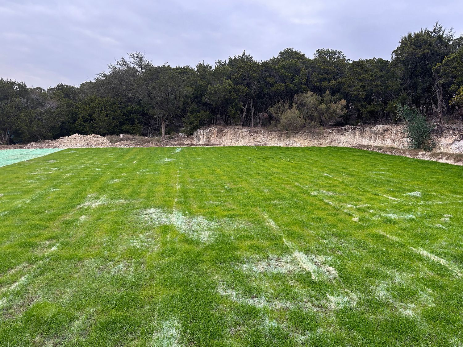 A wide, green lawn covered in a light dusting of frost, bordered by a stone wall and a dense forest under a cloudy sky.