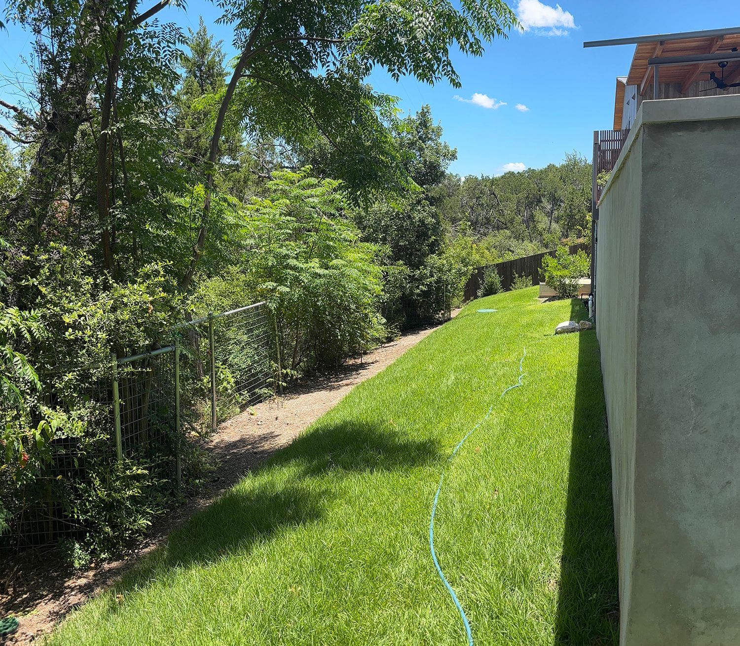 A grassy lawn borders a concrete wall on the right and a wire fence lined with green trees and bushes on the left.