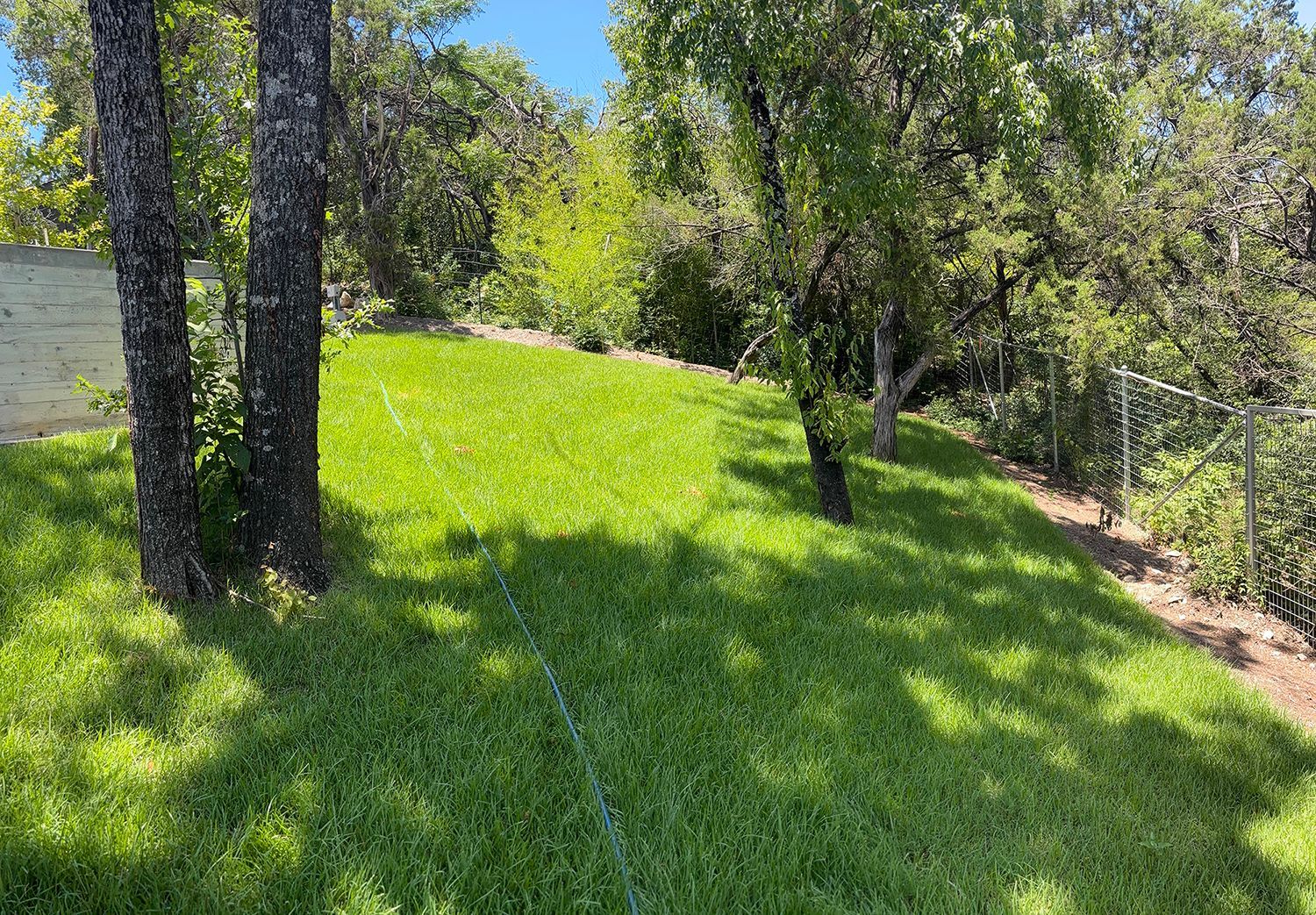 A lush green lawn slopes upward toward a line of trees under a bright blue sky, bordered by a fence on the right.