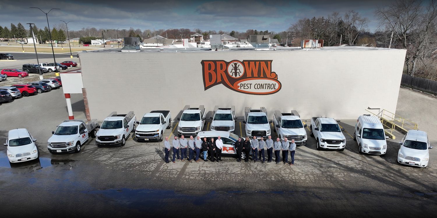 A group of white vans are parked in front of a building.