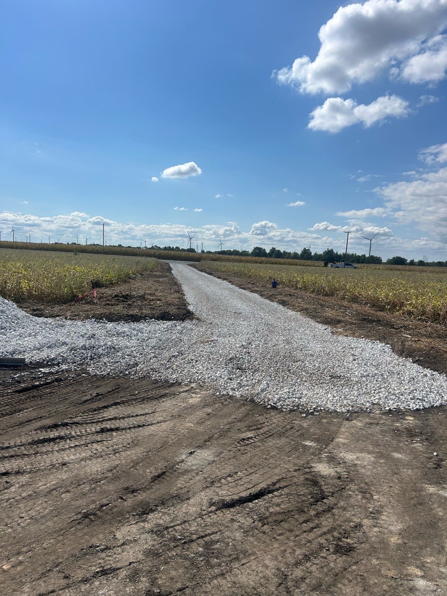 A dirt road going through a field on a sunny day.