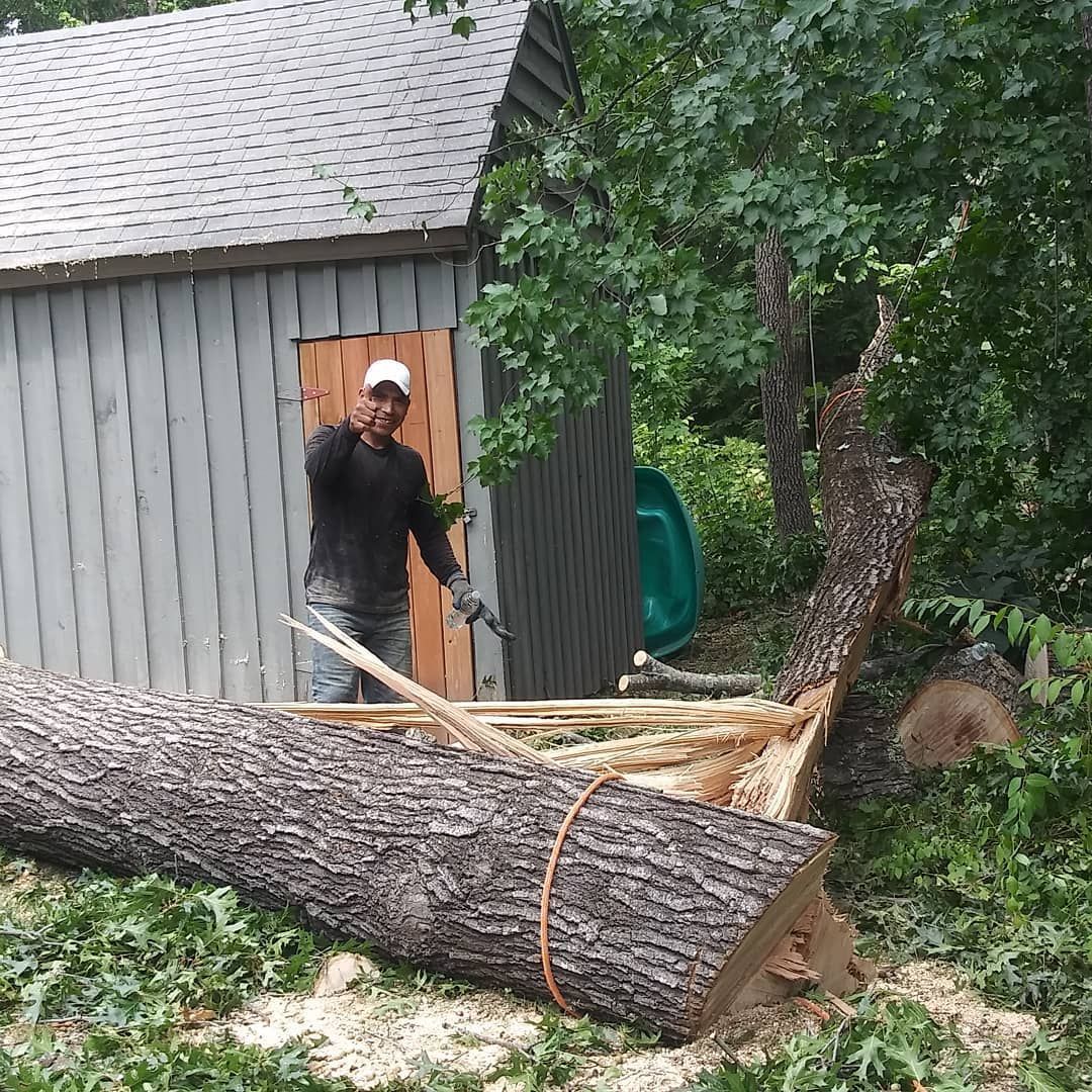 A man is standing next to a large log in front of a shed.