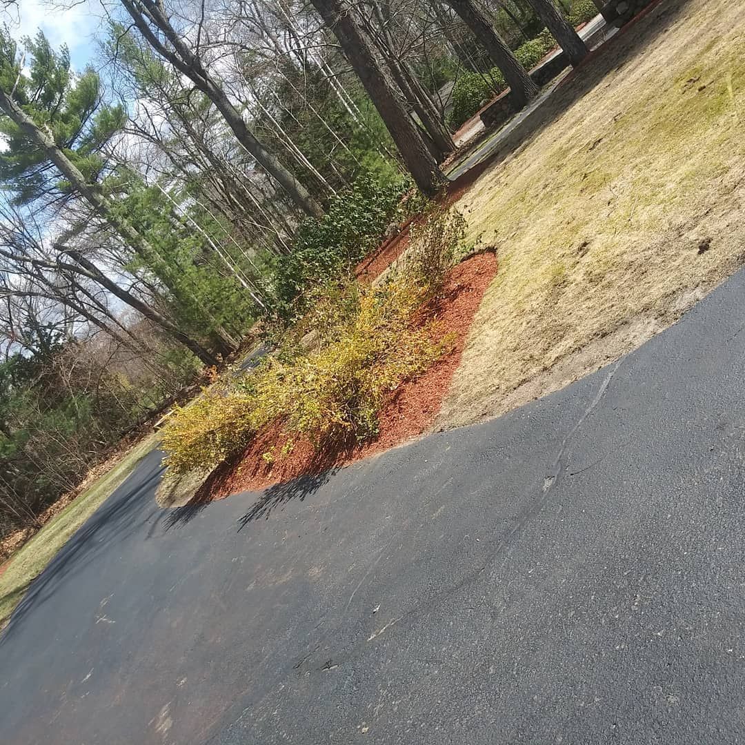 A asphalt road going through a park with trees in the background.