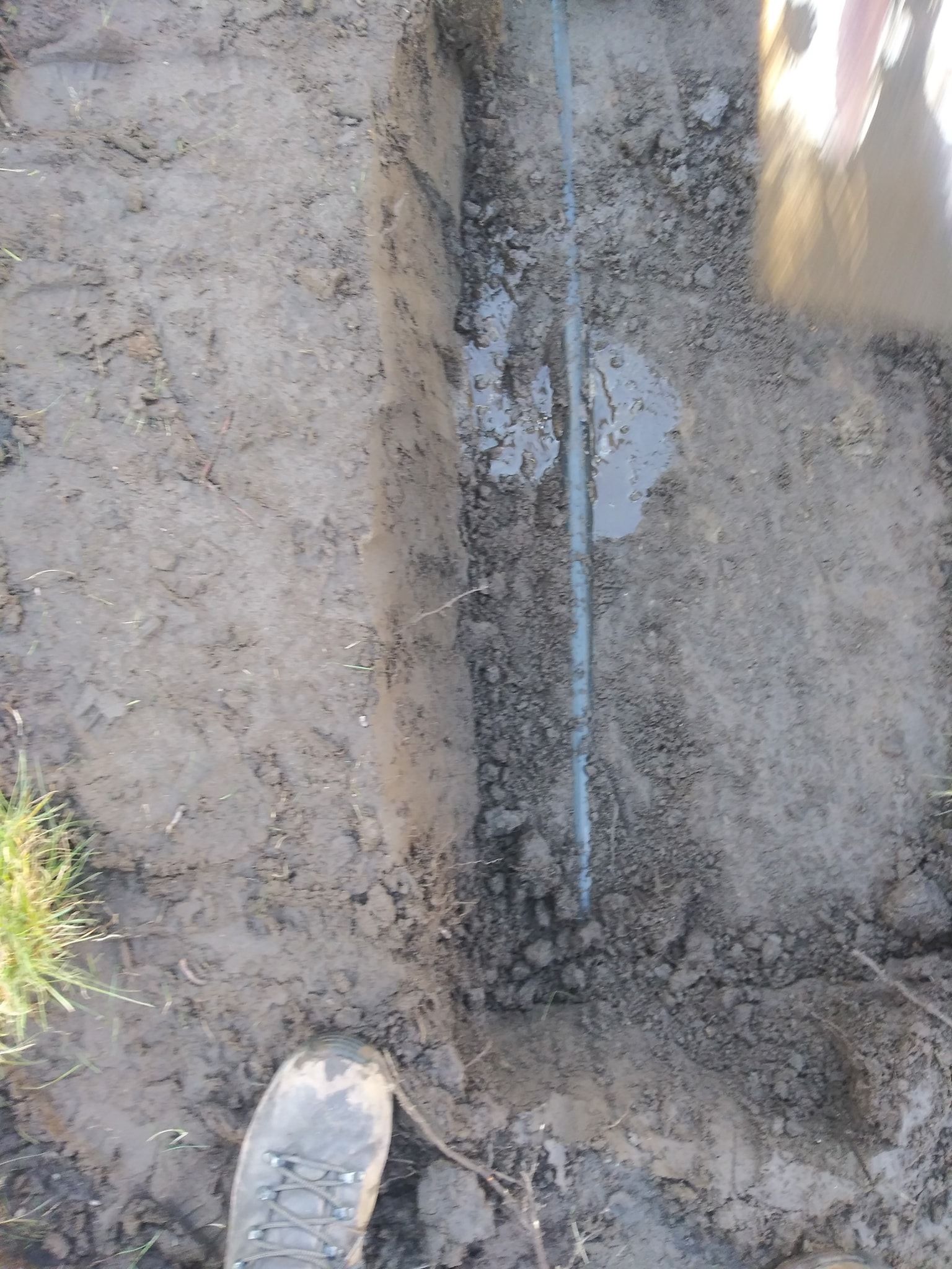 A person is digging a hole in the dirt with a shovel.