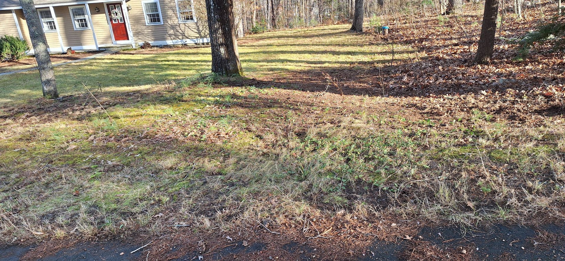 Fall clean-up
encludes clean-up of tree leaves, twigs, tree branches, tree fruits.