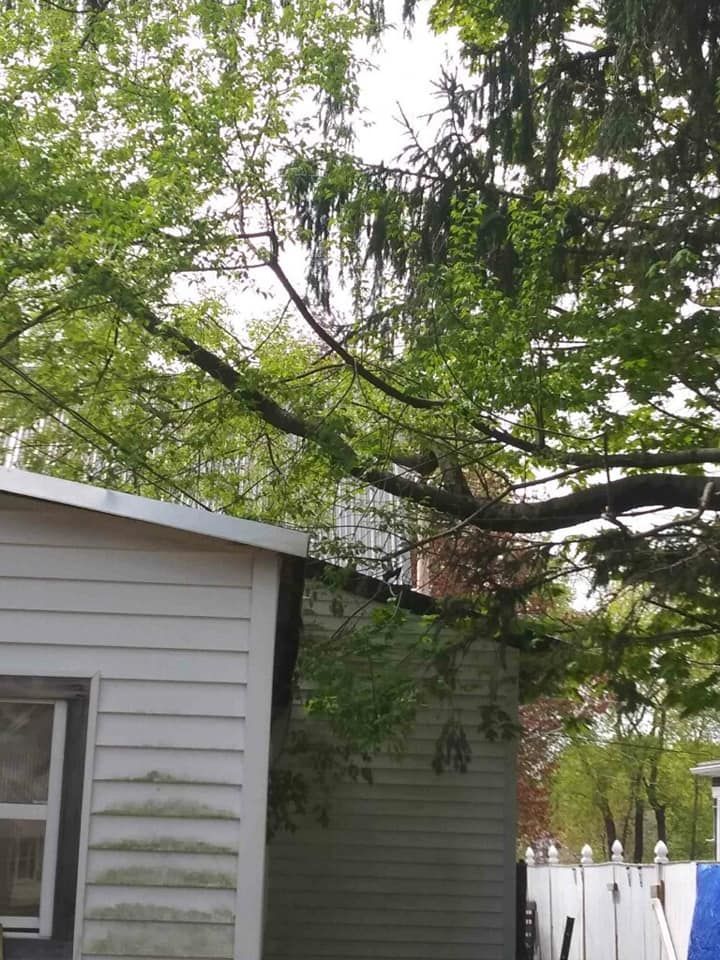 A white house with a tree in front of it.