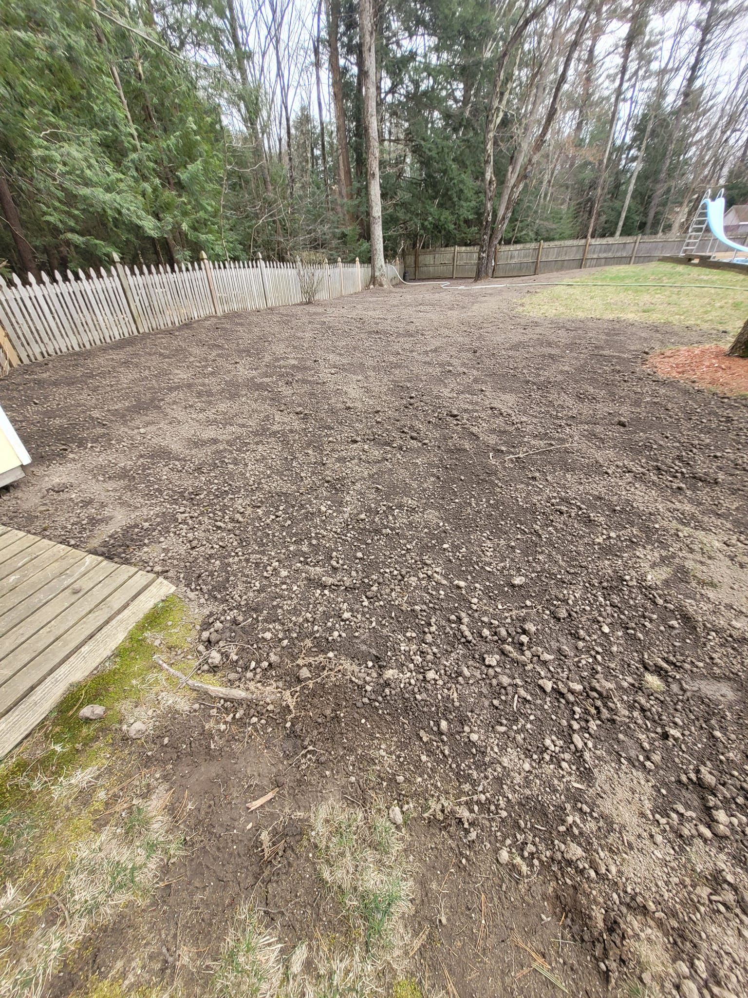 There is a lot of dirt in the backyard.