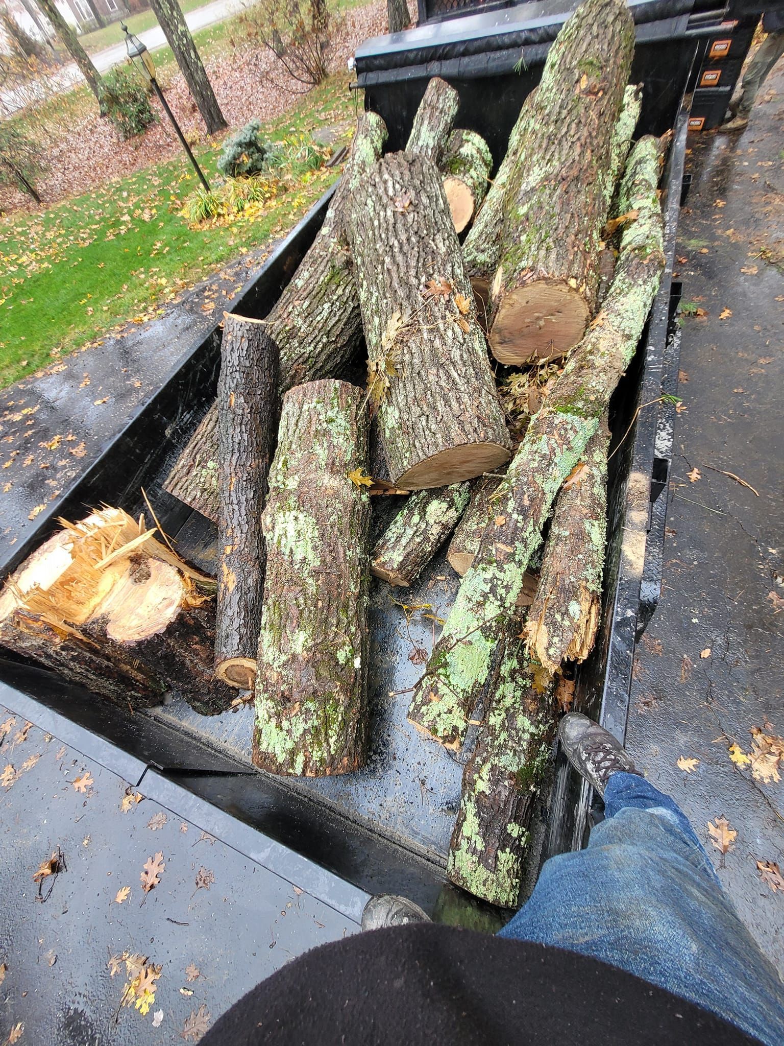 A pile of logs sitting on top of a trailer.