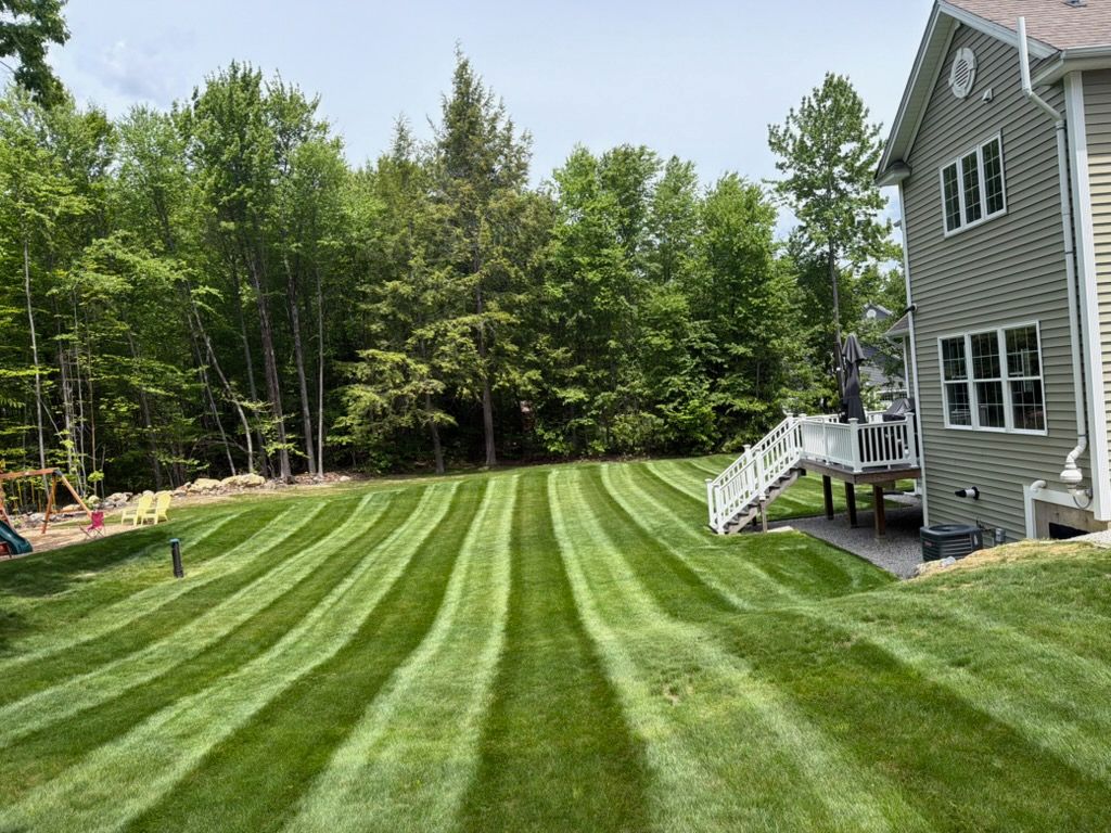 Weekly, Biweekly Lawn Mowing and trimming