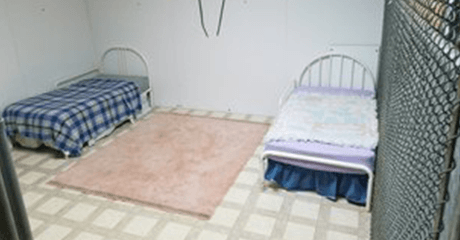 bed and biscuit prices