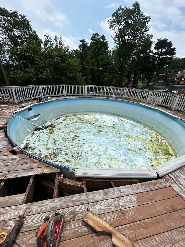Empty, dilapidated swimming pool with algae, surrounded by broken wooden deck and trees.