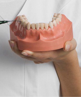 A dentist holding a partial dentures