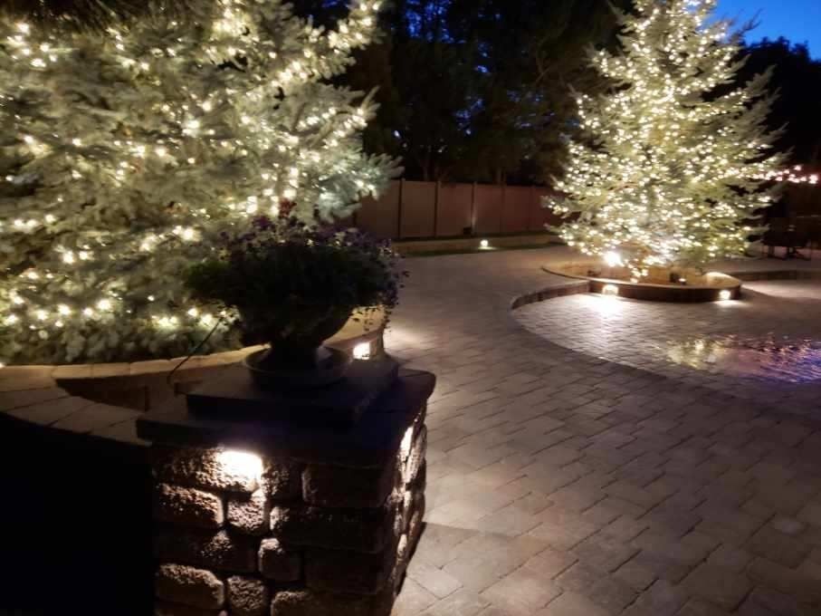 Pathway at night with illuminated trees and pillar lights.
