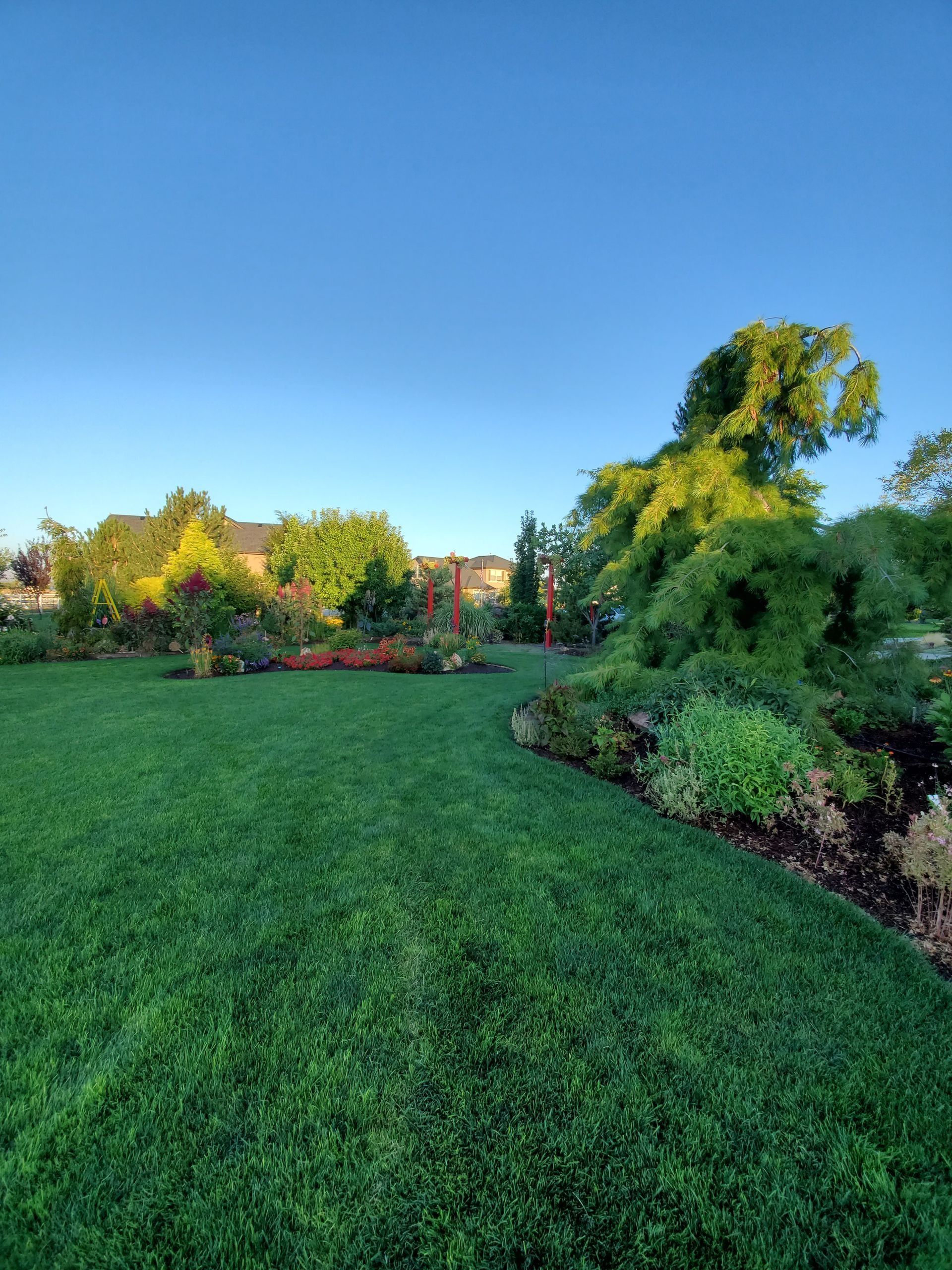 Green lawn curving past garden beds with trees and flowers, against a clear blue sky.