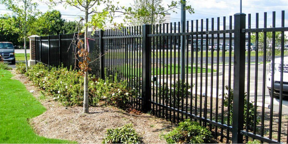 Ornamental iron fencing