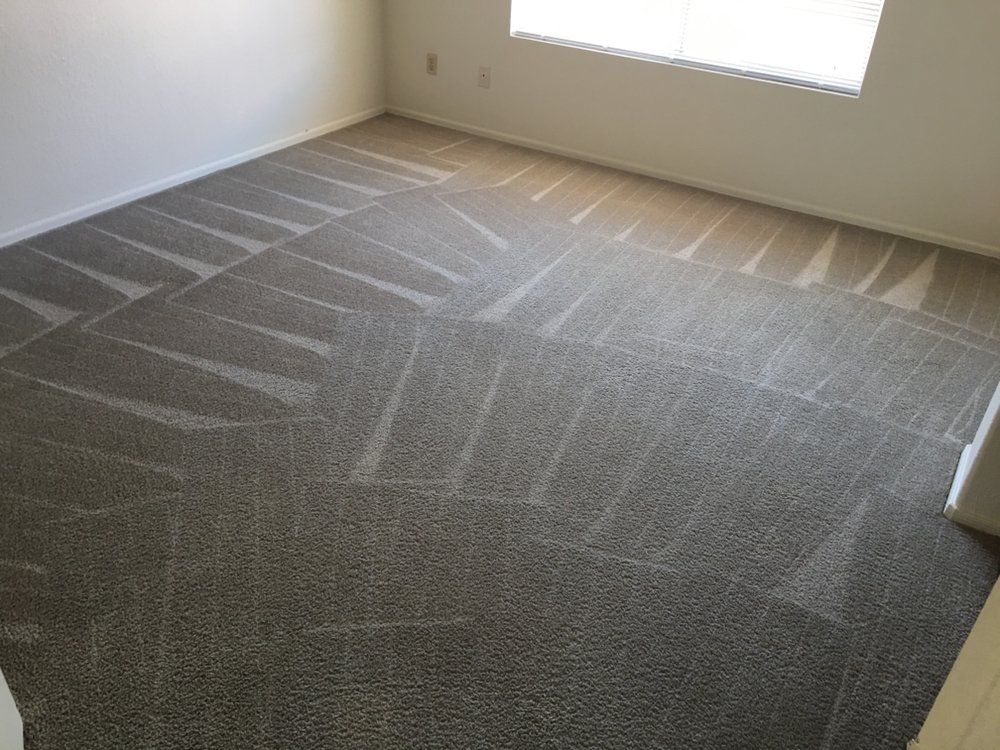 Network Carpet Services | Grout Cleaning | Gilbert, AZ