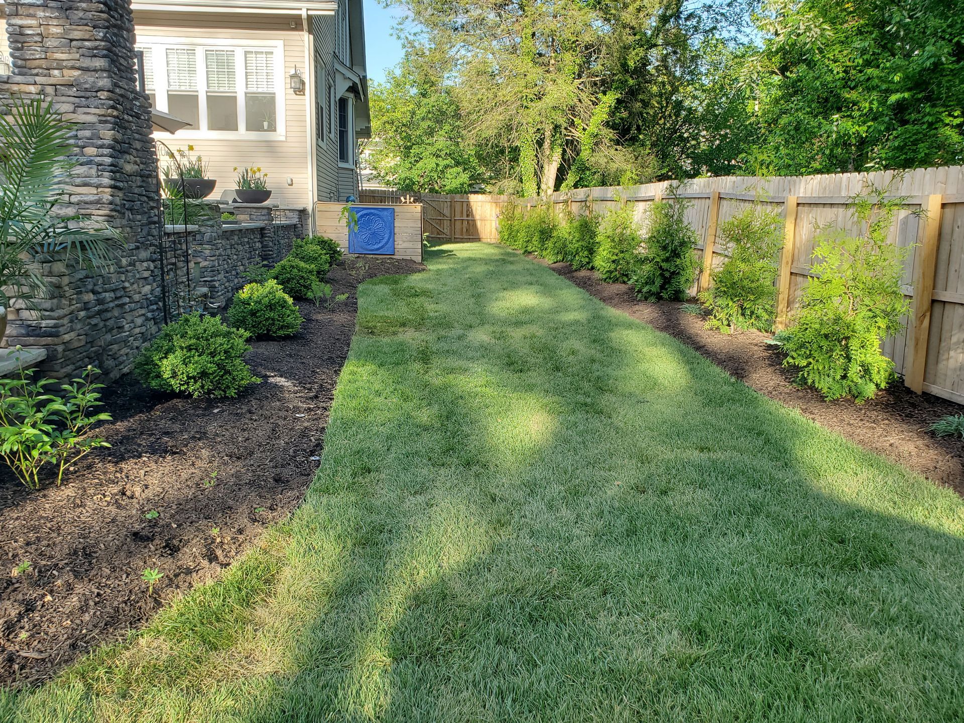 A lush green lawn in front of a house with a wooden fence.