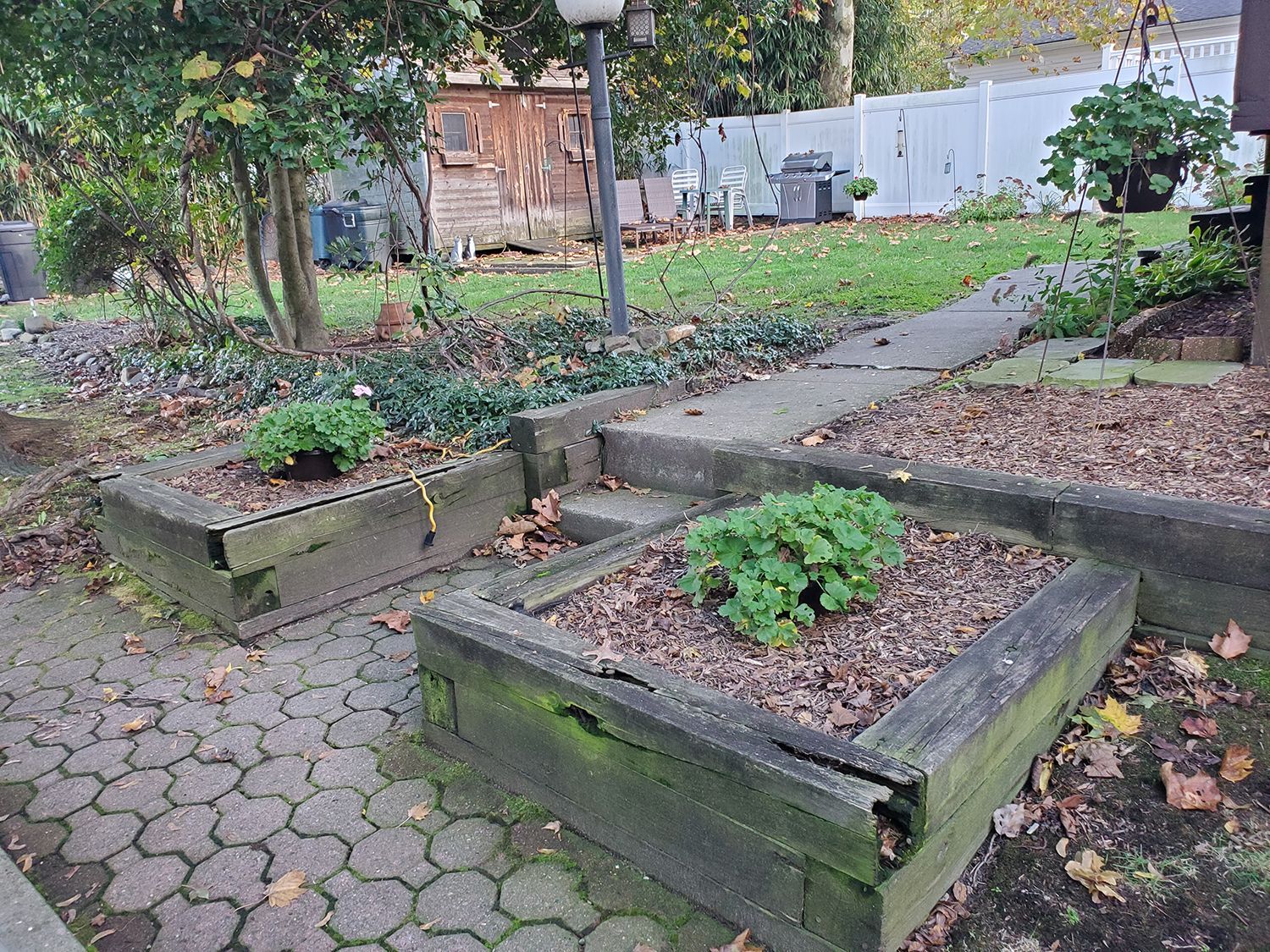 A backyard with a brick walkway, planters, and a fence.