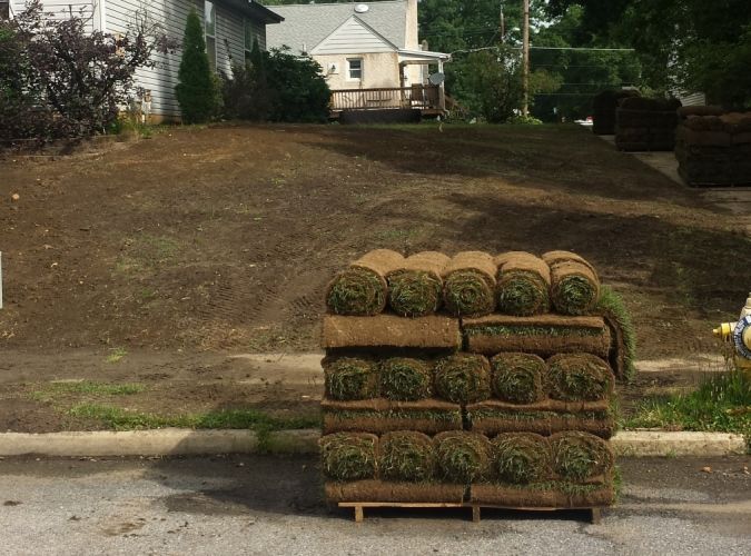 A pallet of rolls of grass is sitting on the side of the road.