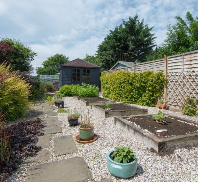 A garden with potted plants and a shed in the background