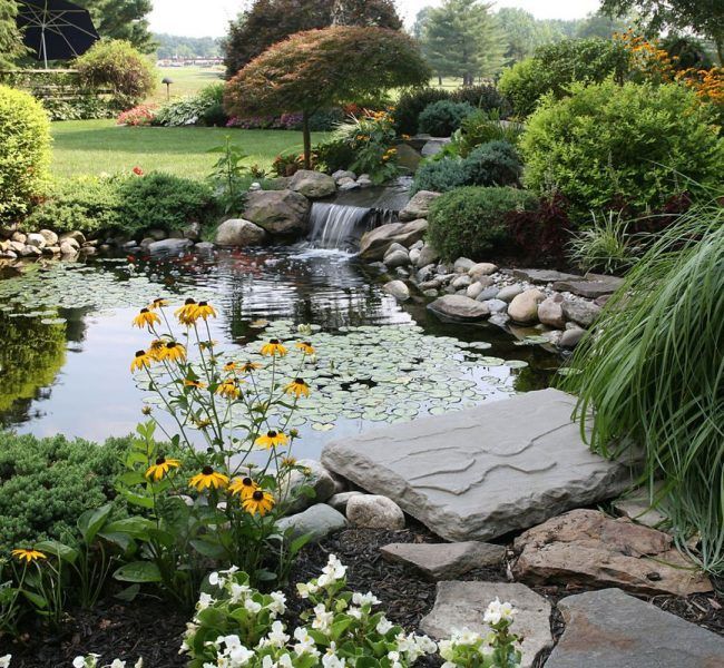 A pond with flowers and a waterfall in the background