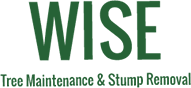 Wise Tree Maintenance & Stump Removal | Logo