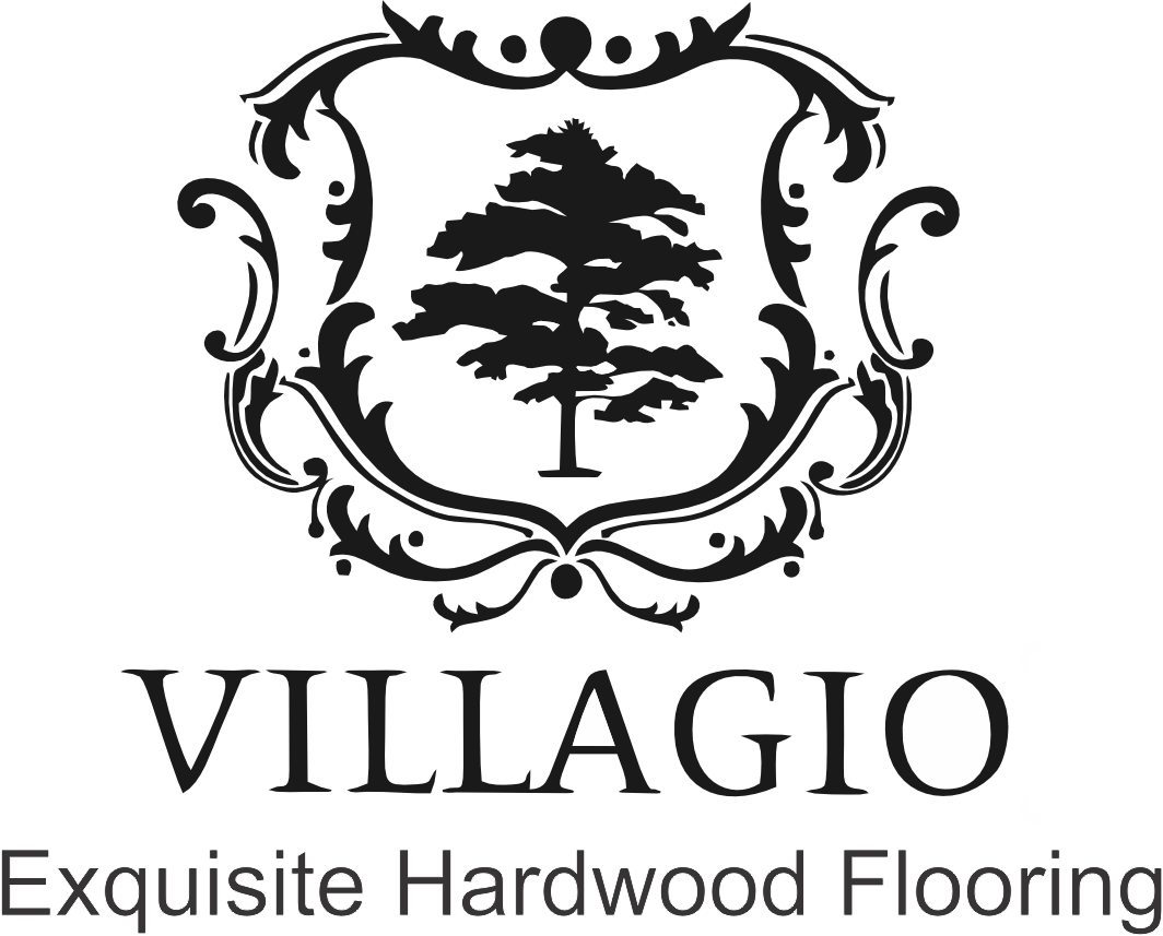 Villagio logo