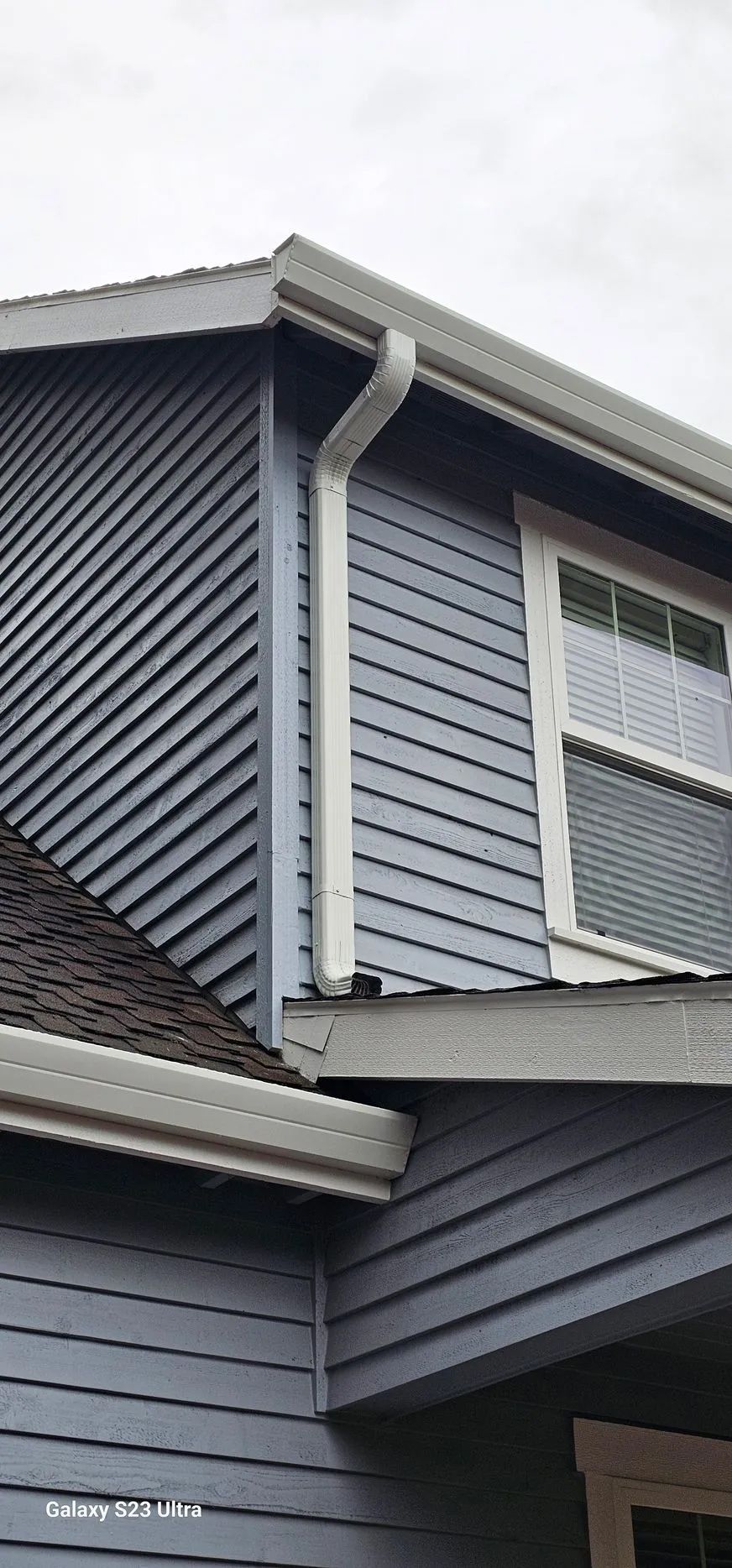 Close-up of a house exterior with gray siding, white trim, and a rain gutter by the roofline