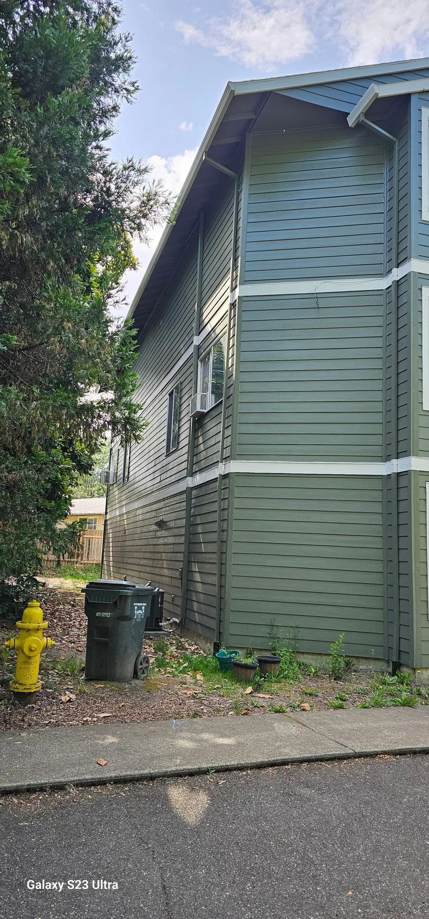 Side of a green house with white trim, a yellow fire hydrant, trash bins, and trees along a road.